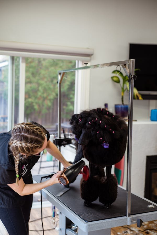 Top 5 des produits d'entretien écologiques pour une maison saine