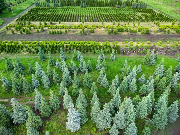 Maison déco travaux : idées créatives pour un foyer chaleureux