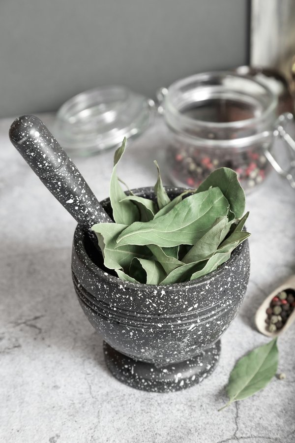 Découvrez les variétés de laurier à commander en ligne